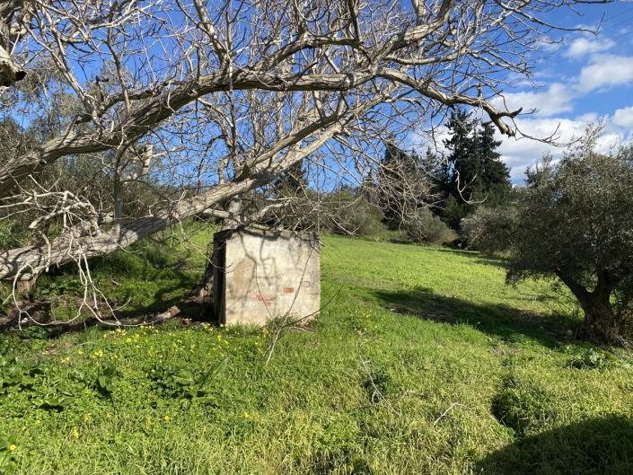 Image No.8-Village House for sale