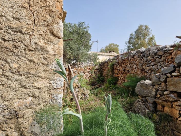 Image No.14-1 Bed Village House for sale