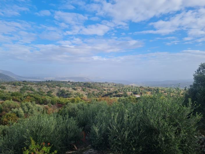 Image No.30-4 Bed House/Villa for sale