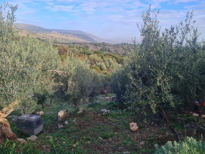 Image No.43-4 Bed House/Villa for sale