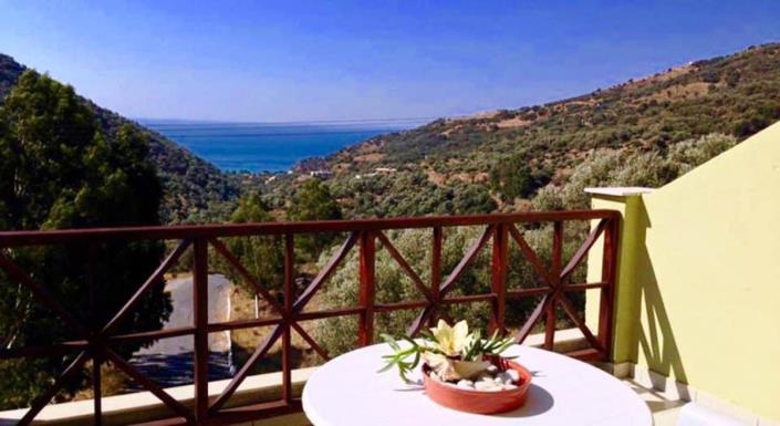 Image No.19-12 Bed Hotel for sale