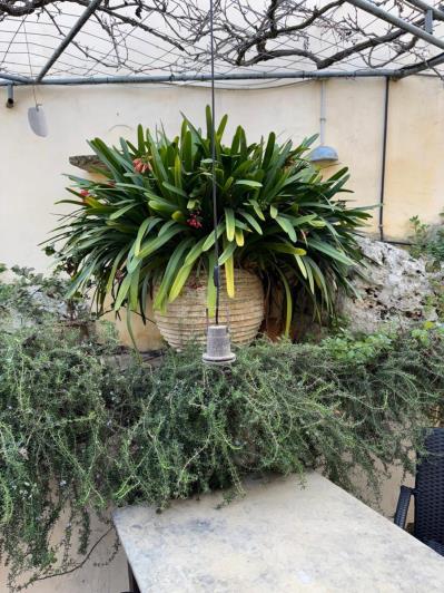 Image No.24-2 Bed Village House for sale