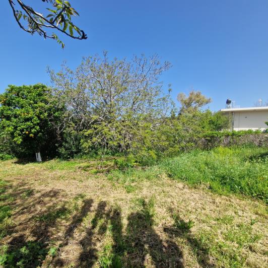 Image No.16-1 Bed House for sale