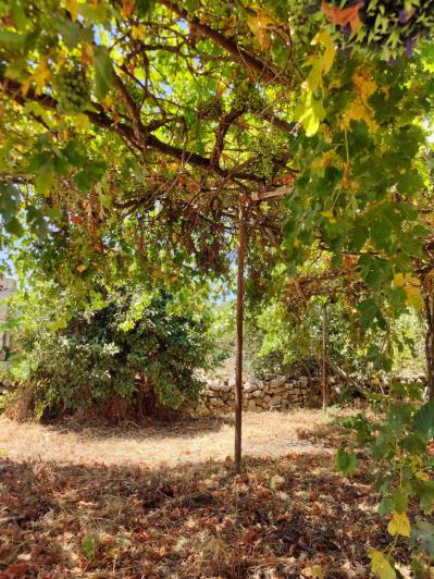 Image No.47-1 Bed Village House for sale