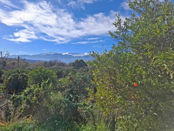 Image No.10-3 Bed Maisonette for sale