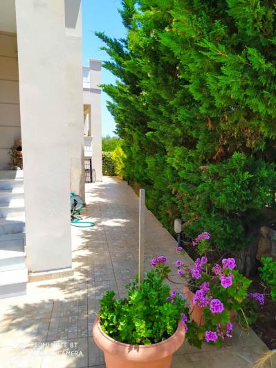 Image No.14-8 Bed House/Villa for sale