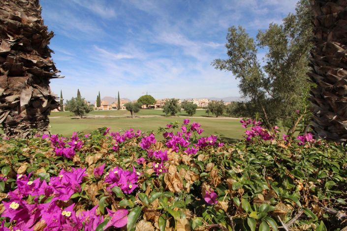 Image No.32-3 Bed Villa for sale