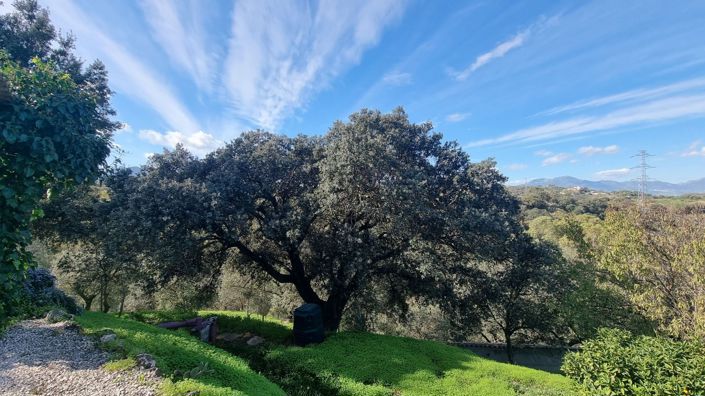 Image No.32-5 Bed Country House for sale