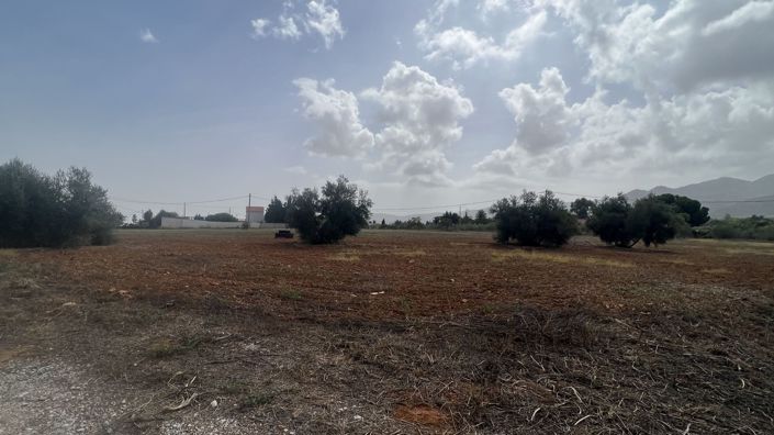 Image No.34-8 Bed Country House for sale