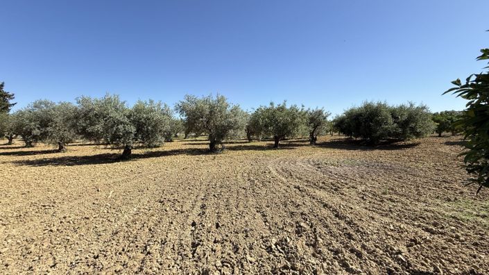 Image No.26-7 Bed Country House for sale