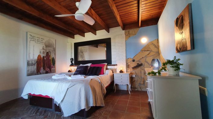 Image No.20-11 Bed Country House for sale