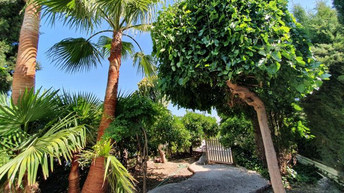 Image No.35-11 Bed Country House for sale