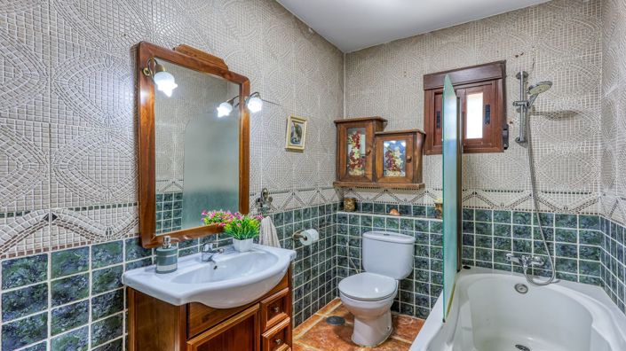 Image No.36-8 Bed Country House for sale