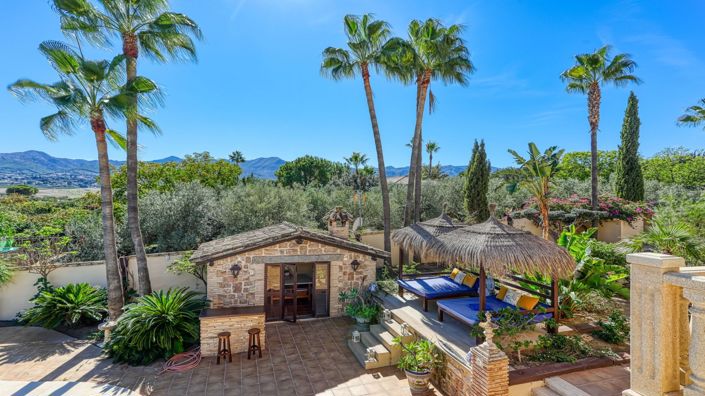 Image No.42-8 Bed Country House for sale