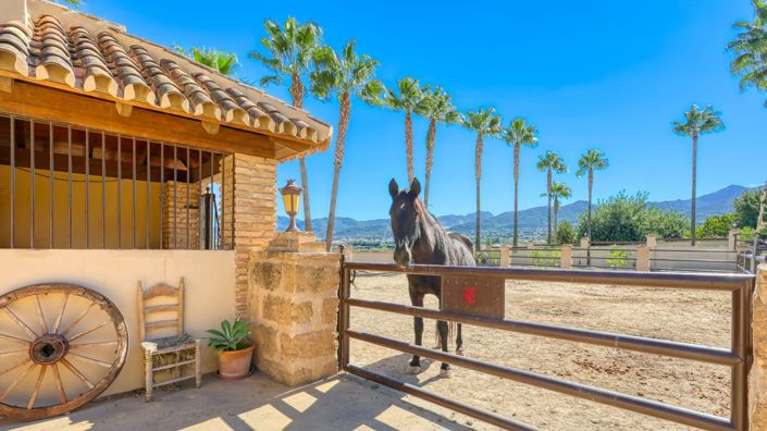 Image No.44-8 Bed Country House for sale