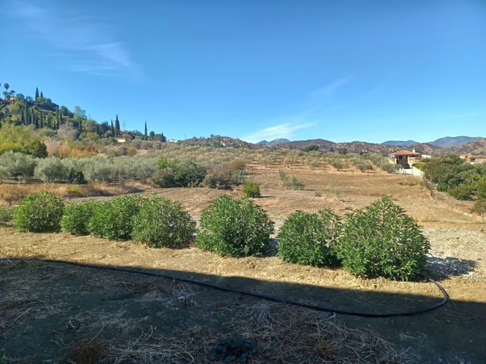 Image No.2-Property for sale