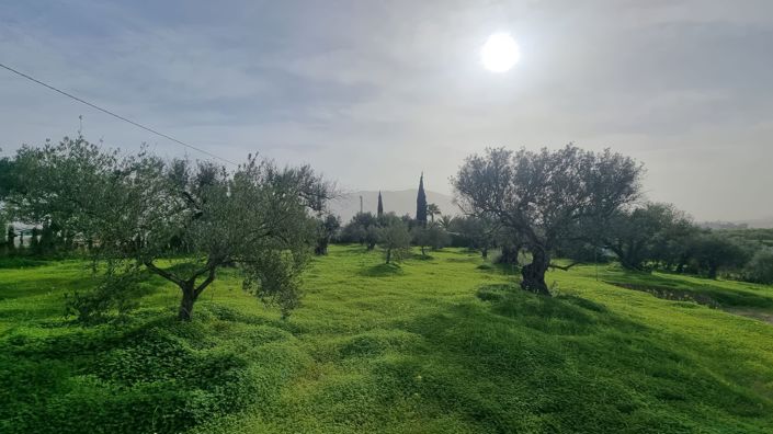 Image No.2-Land for sale