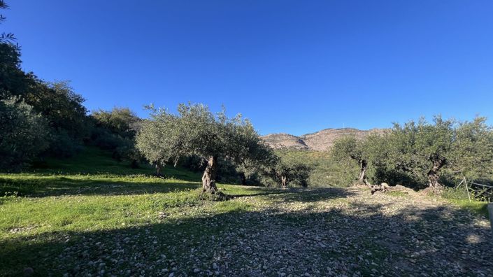 Image No.39-5 Bed Country House for sale