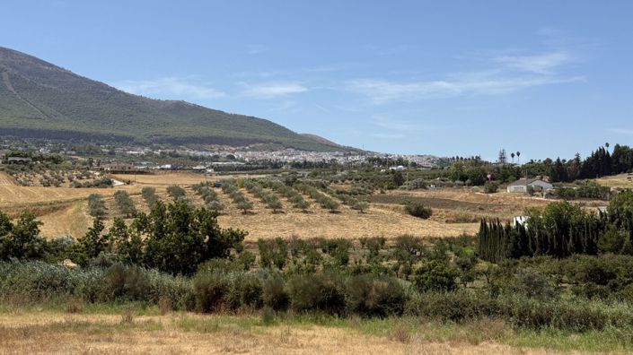 Image No.15-3 Bed Country House for sale