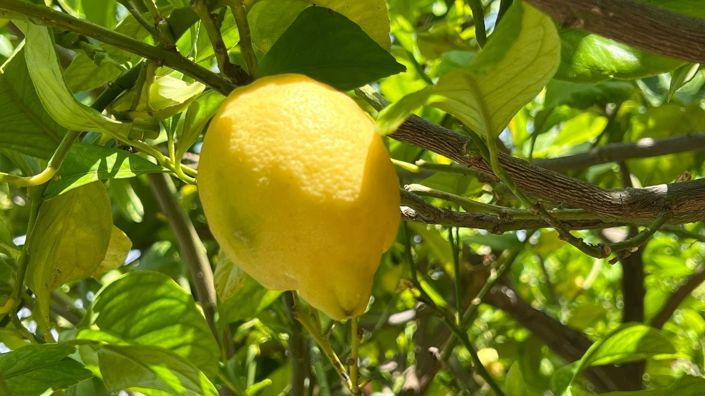 Image No.35-4 Bed Townhouse for sale