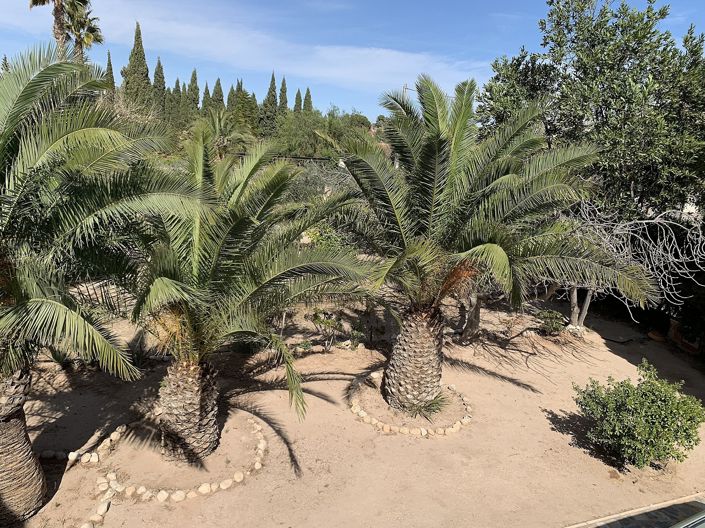 Image No.29-3 Bed Villa for sale