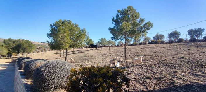 Image No.28-3 Bed Villa for sale