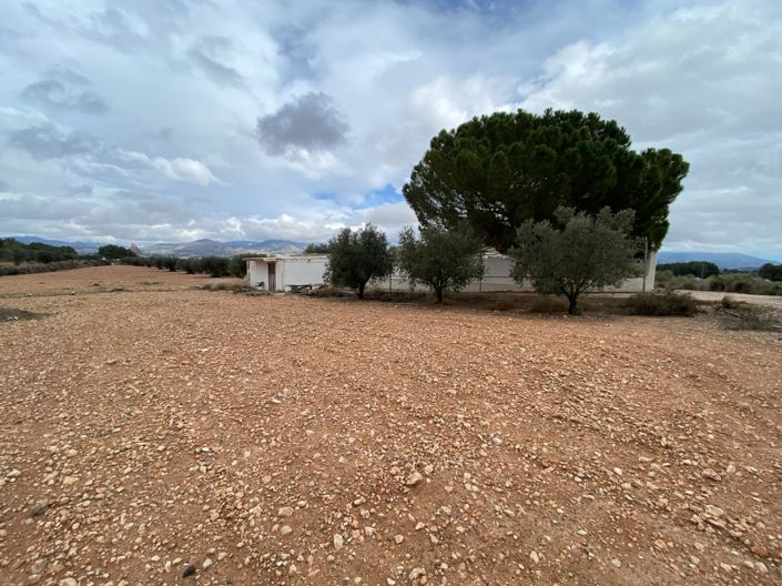 Image No.6-2 Bed Finca for sale