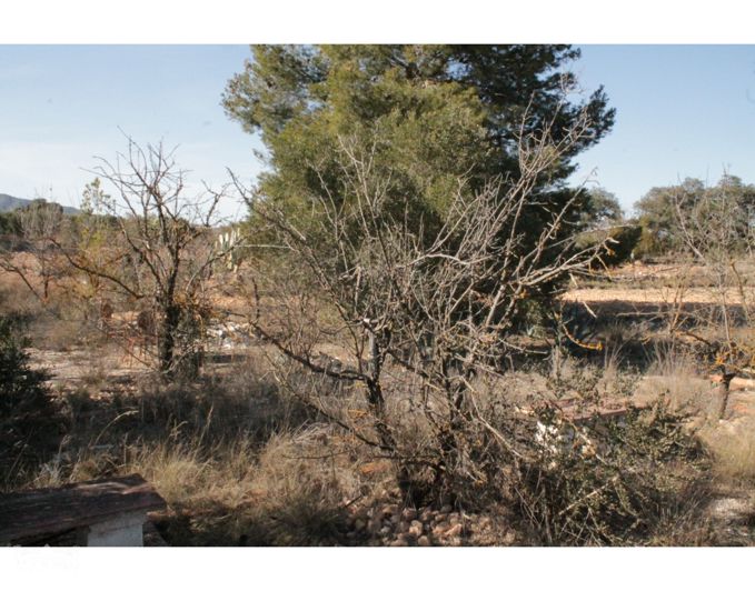 Image No.15-2 Bed Country House for sale