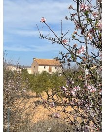 59316338d0b3-cad5-4ec0-8c31-6f3dfcbd4c77