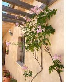 59312c8703c8-4deb-4c48-ba5d-ab0cef60cbfe