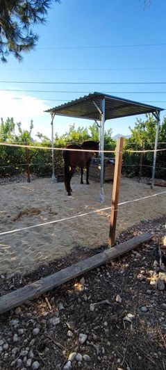 Image No.27-6 Bed Country House for sale