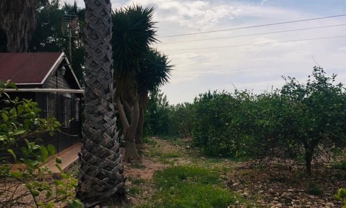 Image No.35-6 Bed Country House for sale