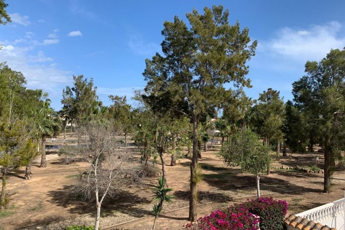 Image No.24-3 Bed Bungalow for sale