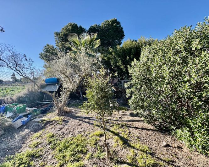 Image No.30-4 Bed Finca for sale