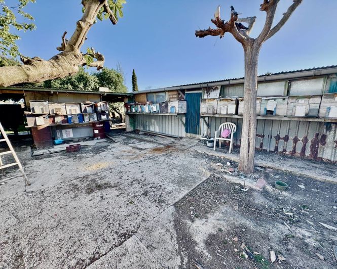 Image No.32-4 Bed Finca for sale