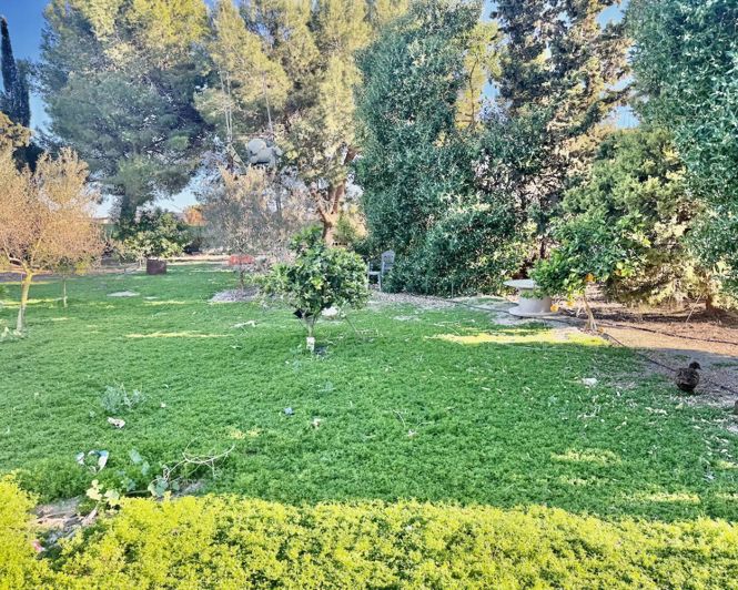 Image No.36-4 Bed Finca for sale