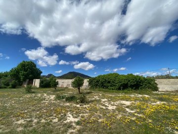 o1iqg45d8sqcl1bfe1733l1m39636