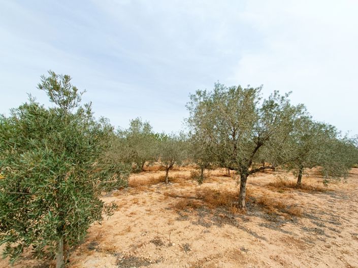 Image No.31-4 Bed Villa for sale