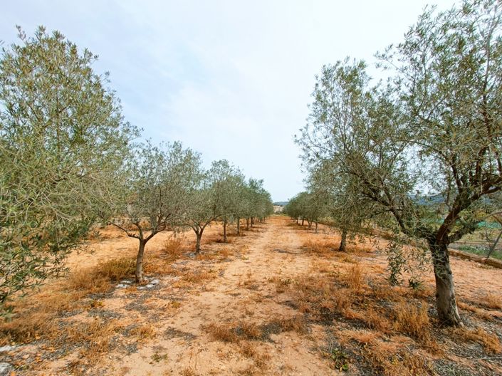 Image No.34-4 Bed Villa for sale