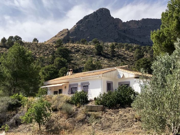 Image No.1-3 Bed Villa for sale
