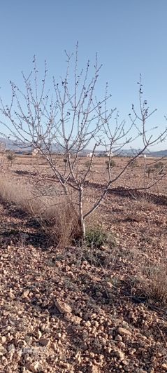 Image No.38-4 Bed Country House for sale