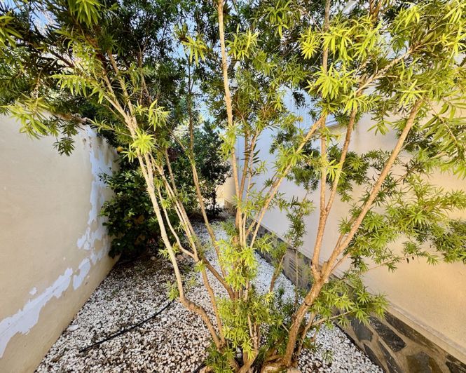 Image No.24-4 Bed Villa for sale