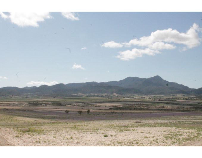 Image No.24-6 Bed Country House for sale