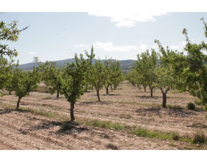 Image No.30-6 Bed Country House for sale