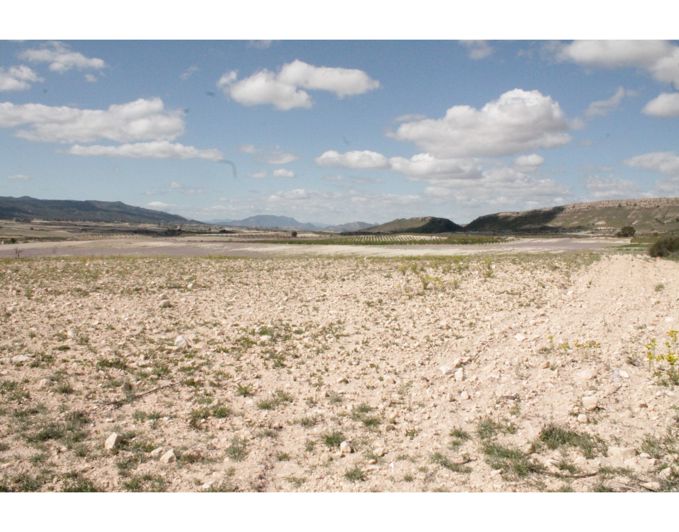 Image No.31-6 Bed Country House for sale