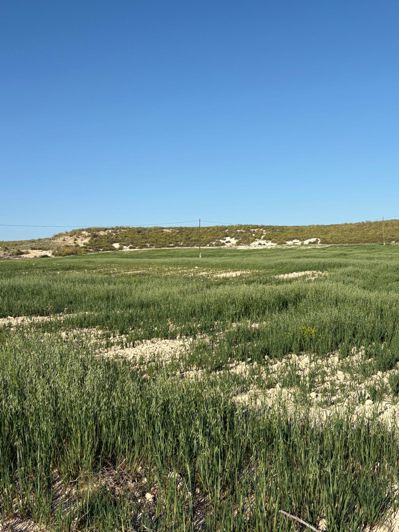 Image No.43-6 Bed Country House for sale