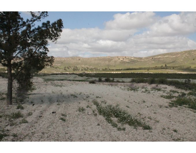 Image No.44-6 Bed Country House for sale