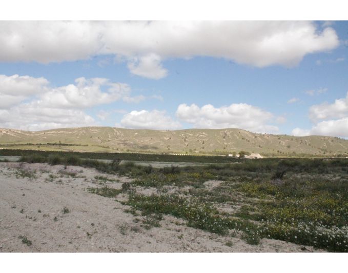 Image No.47-6 Bed Country House for sale