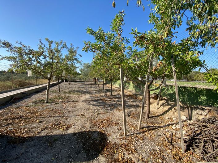 Image No.15-5 Bed Villa for sale