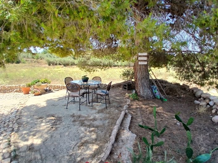 Image No.34-2 Bed Finca for sale